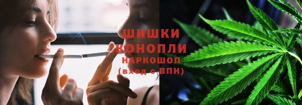 прущие грибы Кинешма
