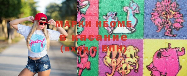 прущие грибы Кинешма