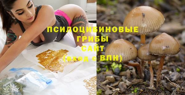 прущие грибы Кинешма