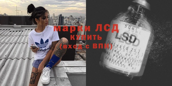 прущие грибы Кинешма