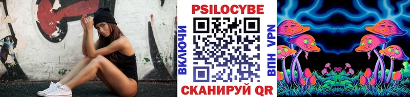 Галлюциногенные грибы Psilocybine cubensis  Купить закладки  Вихоревка 
